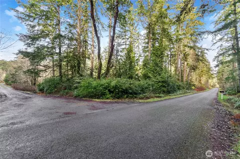 12605 84th Street Ct, Anderson Island, WA 98303
