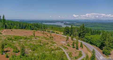 0 Silver Lake Rd #9, Castle Rock, WA 98611