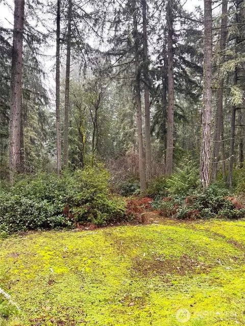 10509 Vantage Dr, Anderson Island, WA 98303