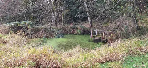 Other - 2768 Highway 603, Winlock, WA 98596 photo 11 of 14