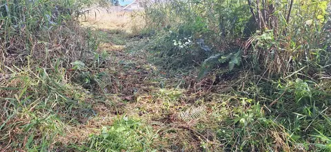 Other - 2768 Highway 603, Winlock, WA 98596 photo 13 of 14