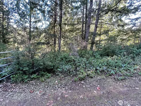 193 E Dalby Rd, Union, WA 98592 photo 10