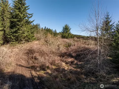 9999 Forest View Dr, Sequim, WA 98382 photo 18