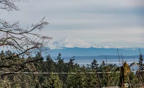 71 Ida Ct, Sequim, WA 98382 photo 21