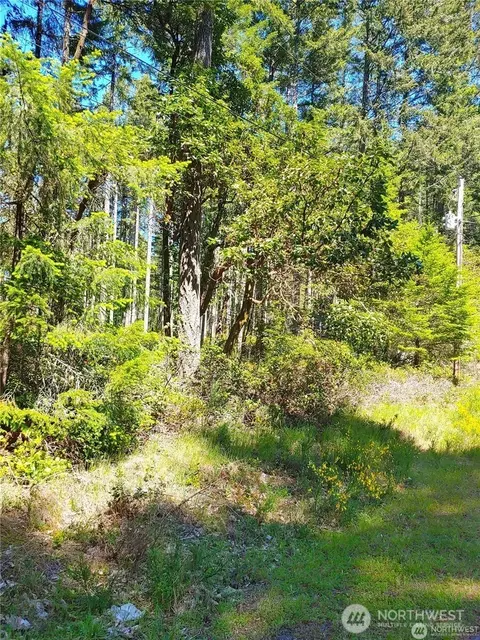 12121 Sunset Pl, Anderson Island, WA 98303
