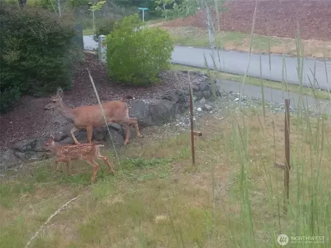 571 Solana Pkwy, Sequim, WA 98382 photo 16