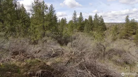 3 Pine Meadow Dr N, Davenport, WA 99122
