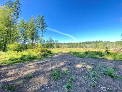 4350 SE Lot D Se Lynch Rd, Shelton, WA 98584