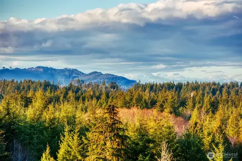 13816 Quiet Waters Ln SW, Rochester, WA 98579