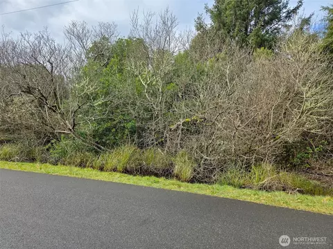 318 N Wynoochee Dr SW, Ocean Shores, WA 98569
