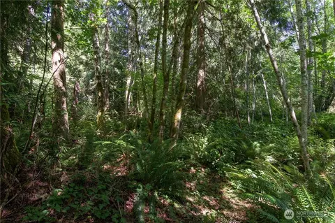 9999 N Eldridge, Sequim, WA 98382 photo 17
