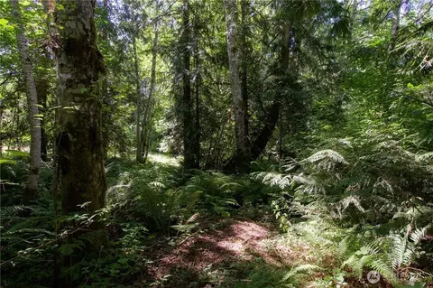 9999 N Eldridge, Sequim, WA 98382 photo 23