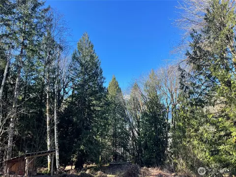 9999 Dosewallips Rd, Brinnon, WA 98320