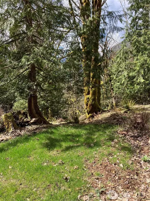 9999 Dosewallips Rd, Brinnon, WA 98320 photo 4