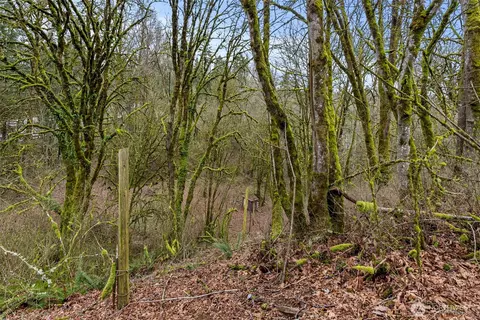 535 543 Knowles Rd, Winlock, WA 98596 photo 19