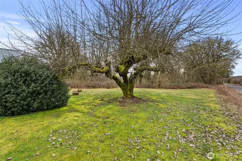 535 543 Knowles Rd, Winlock, WA 98596 photo 21