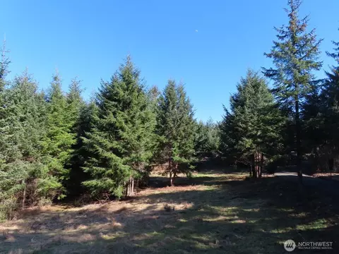80 Wilson Ln, South Bend, WA 98586