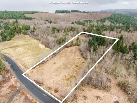 125 NW Hill Creek Rd, Toledo, WA 98591