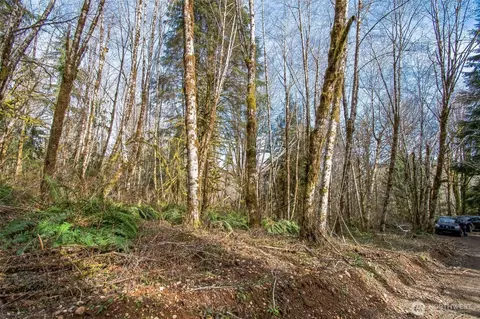 0 W Nn W Reller Rd, Shelton, WA 98584