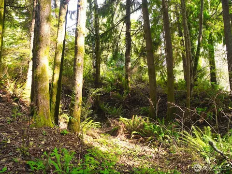 0 Summit Ave, Hoquiam, WA 98550