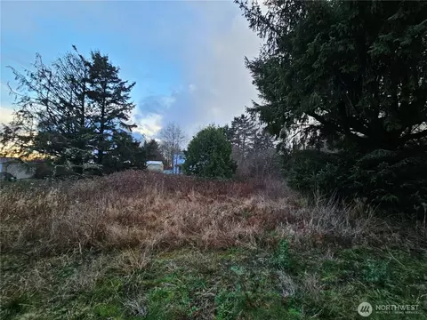 19 N 3rd St, Pacific Beach, WA 98571
