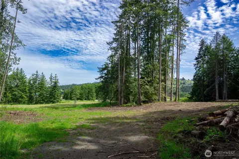 136 Bonneville Ln, Sequim, WA 98382 photo 39