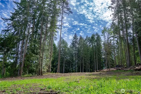 136 Bonneville Ln, Sequim, WA 98382 photo 37