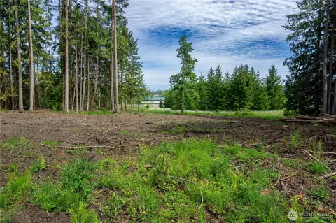 136 Bonneville Ln, Sequim, WA 98382 photo 28