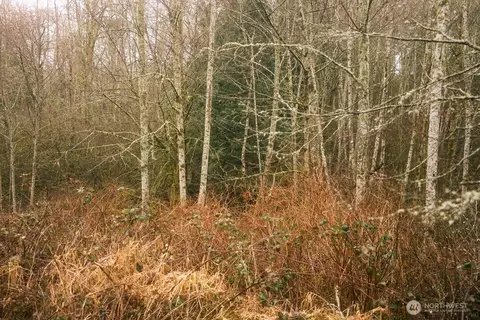 950 Yew St, Bellingham, WA 98229