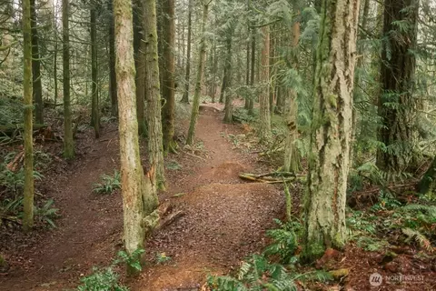 0 Princeton Ct, Bellingham, WA 98229