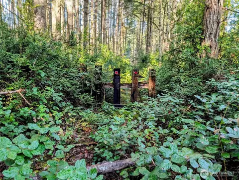 0 30th St SW, Lakebay, WA 98349