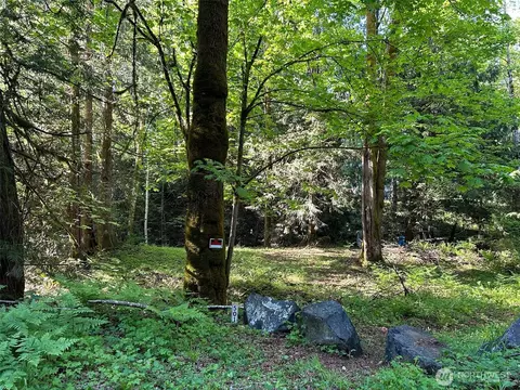 501 N Olympic Trl, Lilliwaup, WA 98555