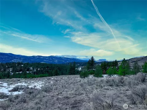 1111 Tbd White Tail Ln, Tonasket, WA 98855