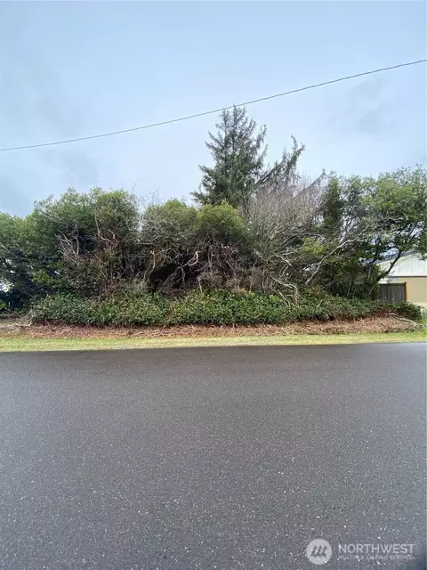 192 Kelp St NW, Ocean Shores, WA 98569