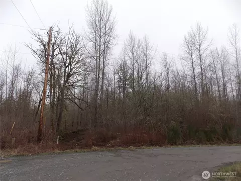 213 358th St E, Roy, WA 98580 photo 8