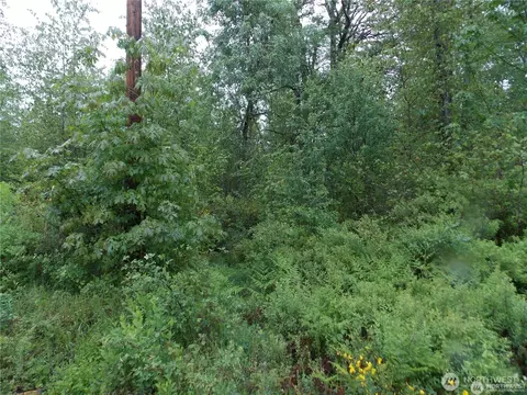 213 358th St E, Roy, WA 98580