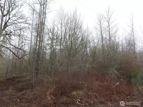 213 358th St E, Roy, WA 98580 photo 9