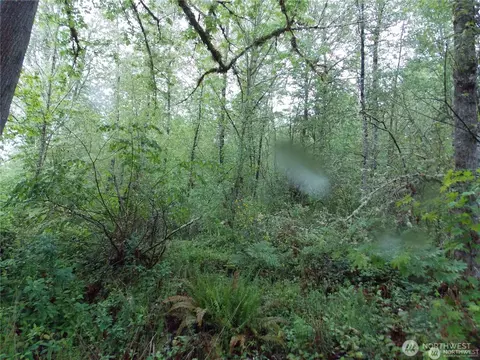 213 358th St E, Roy, WA 98580 photo 5