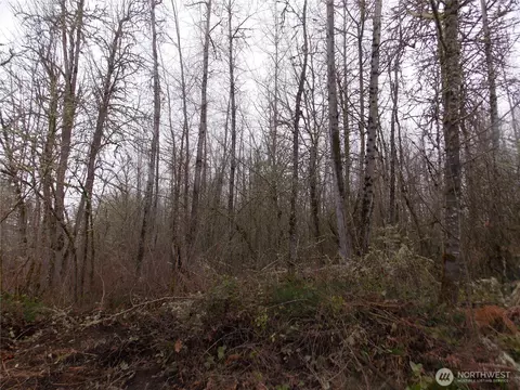 213 358th St E, Roy, WA 98580 photo 10