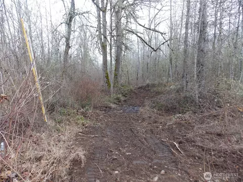 213 358th St E, Roy, WA 98580 photo 3