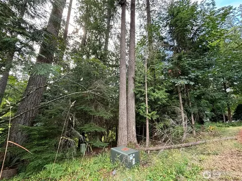 8 Morning Glory Dr, Bellingham, WA 98229