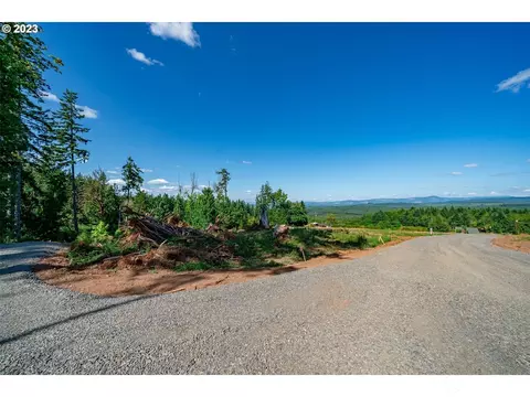 0 S Silver Lake Lot Apt 1 Rd, Castle Rock, WA 98611