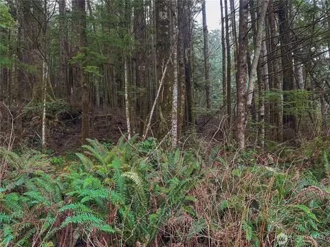 0 Tr 15 Salal Dr, Copalis Beach, WA 98535