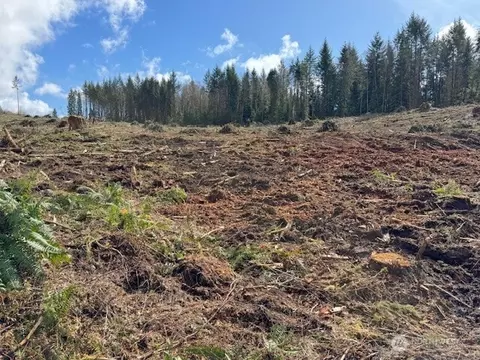 0 Lot 1 August Rd, Onalaska, WA 98532