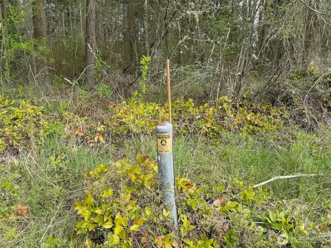9999 Atterberry Rd, Sequim, WA 98382 photo 22