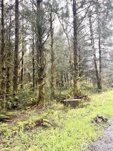 300 Luttrell Ln, Ilwaco, WA 98624