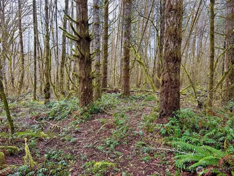 0 NE Nnn Ne Tahuya River Dr, Tahuya, WA 98588