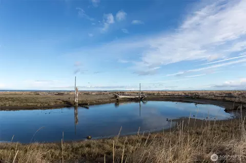 View/Area - 40 Collins St, Sequim, WA 98382 photo 7 of 9