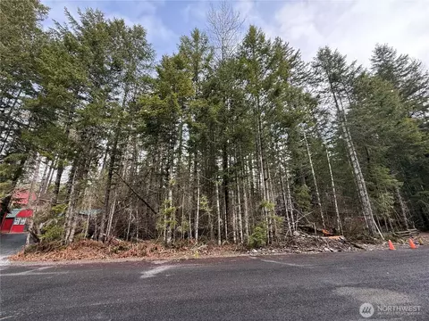 0 Pyramid Pl, Eatonville, WA 98328