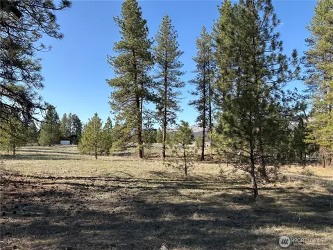 0 Tamarack Rd, Tonasket, WA 98855